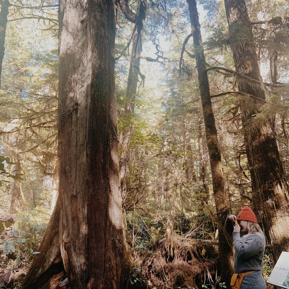 Meet your Posher, Kimberlyn - Picture 2 of 3